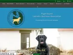 Sites similar to pslra.org