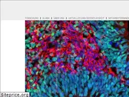 Sites similar to psych.mpg.de