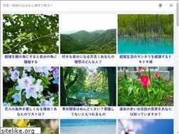 Sites similar to psycho-analy.net