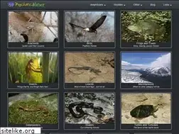 Sites similar to psychoticnature.com
