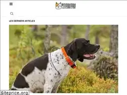 Sites similar to ptitoutou.com