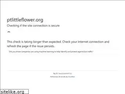Sites similar to ptlittleflower.org