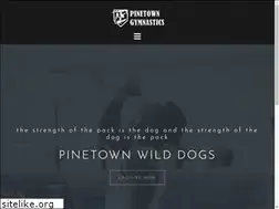 Sites similar to ptngym.co.za