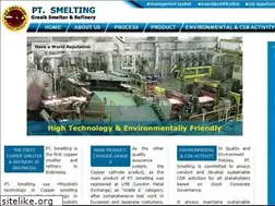 Sites similar to ptsmelting.com