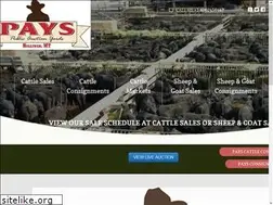 Sites similar to publicauctionyards.com