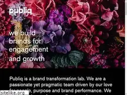 Sites similar to publiqbranding.com