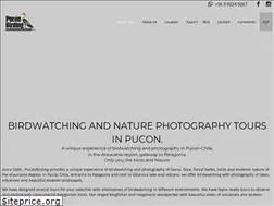 Sites similar to puconbirding.cl