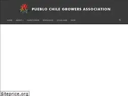 Sites similar to pueblochile.org