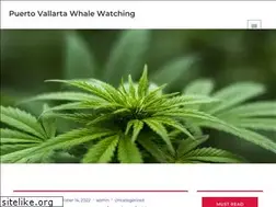 Sites similar to puertovallartawhalewatching.org