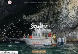 Sites similar to puffinsandwhales.com