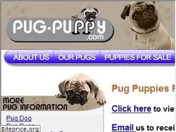 Sites similar to pug-puppy.com
