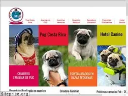 Sites similar to pugcostarica.com