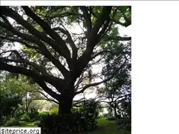 Sites similar to pughjohn727.blog