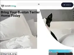 Sites similar to pugpuppyforsale.net
