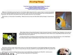 Sites similar to pugstories.com