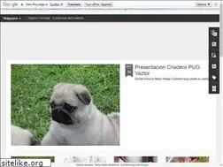 Sites similar to pugsvt.blogspot.com