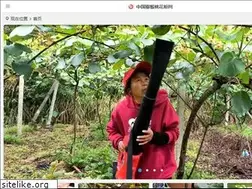 Sites similar to pujiangmihoutao.com
