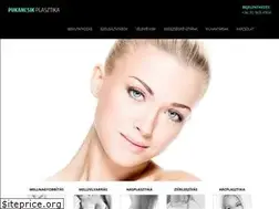 Sites similar to pukancsik-plasztika.hu