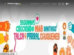Sites similar to pullmanbus.com