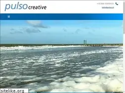Sites similar to pulso.nl