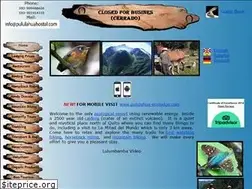 Sites similar to pululahuahostal.com