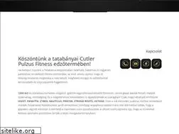 Sites similar to pulzus-fitness.hu