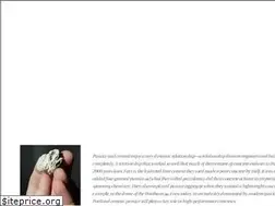 Sites similar to pumiceconcrete.com