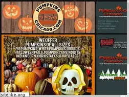 Sites similar to pumpkinschicago.com