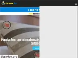 Sites similar to punaise.pro