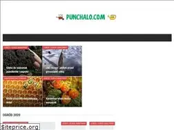 Sites similar to punchalo.com