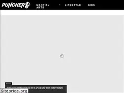 Sites similar to punchermedia.com