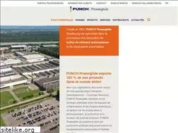 Sites similar to punchinternational.com