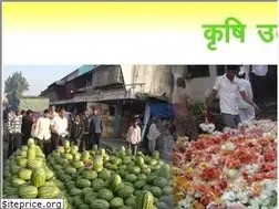 Sites similar to puneapmc.org