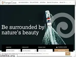 Sites similar to pungacove.co.nz