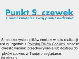 Sites similar to punktsoczewek.pl