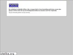 Sites similar to punteronline.nl