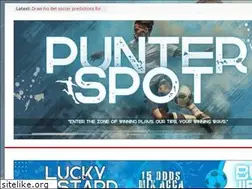 Sites similar to punterspot.com