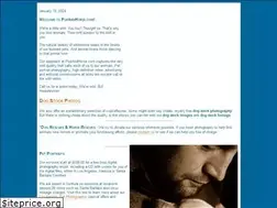 Sites similar to pupandhorse.com