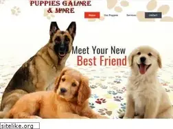 Sites similar to puppiesgalore.biz