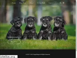 Sites similar to puppymagnet.com