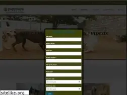 Sites similar to puppyoye.com