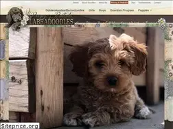 Sites similar to puppypatchlabradoodles.com