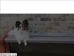 Sites similar to puppypowerdogtraining.com