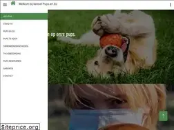 Sites similar to pupsenzo.be