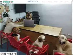 Sites similar to pupstop.in