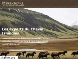 Sites similar to purcheval.com