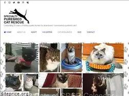 Sites similar to purebredcatrescue.org
