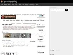 Sites similar to purebredpups.org
