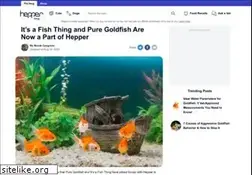 Sites similar to puregoldfish.com