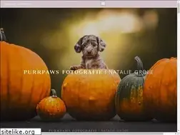 Sites similar to purrpaws.de